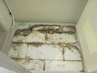 IMG_0751 - コピー.JPG